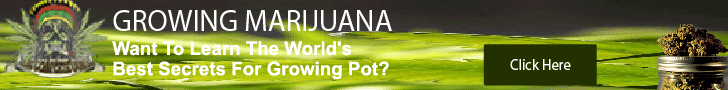 How To Grow Weed 420