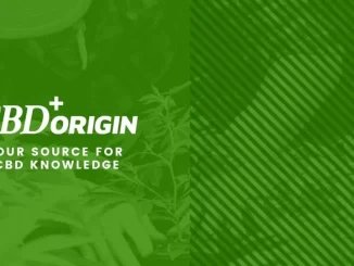 Tanasi CBD Product Review | CBD Origin