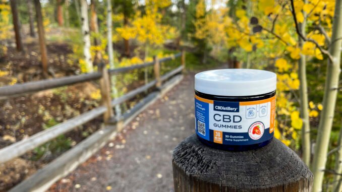 5 Important Considerations When Choosing a CBD Brand