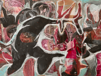 Flies, Lies & Magic Mushrooms