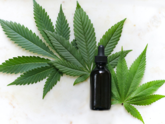 How to Find the Best CBD Oil