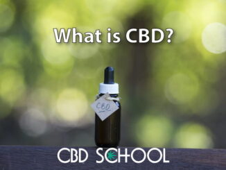 What is CBD (Cannabidiol)? - CBD School