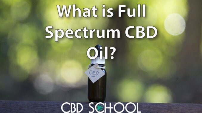 What is Full Spectrum CBD Oil