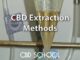 CBD Extraction Methods Explained in Detail