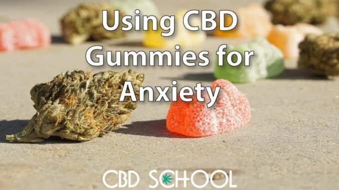 CBD Gummies For Anxiety: The Relief You've Been Looking For