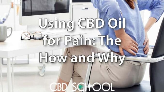 Using CBD Oil for Pain Management: How it Works Using CBD Oil for Pain Management: How it Works