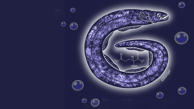 Glutamate, A Love Story | Project CBD Glutamate, A Love Story | Project CBD