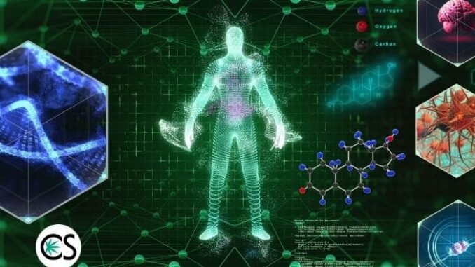 How Long Does CBD Stay in Your System? How Long Does CBD Stay in Your System?