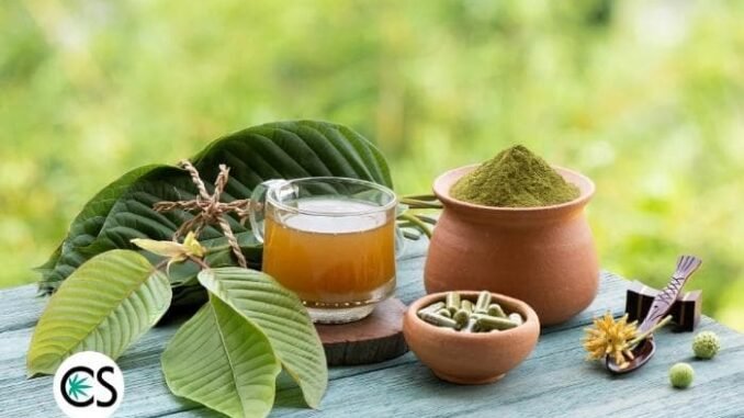 Kratom vs. CBD: A Complete Comparison