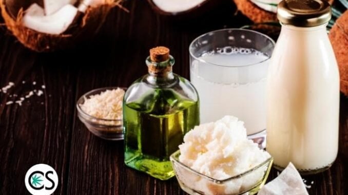 MCT Oil in CBD: What Does it Do? MCT Oil in CBD: What Does it Do?