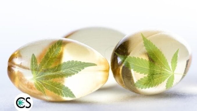 How Much CBD Can I Take? How Much CBD Can I Take?
