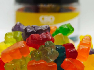 How to Find the Best CBD Gummy