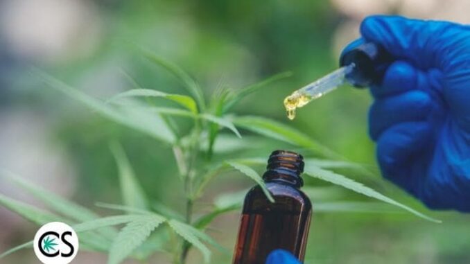 What is Hemp Oil Good For?
