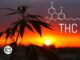 What is THC? What is Tetrahydrocannabinol?