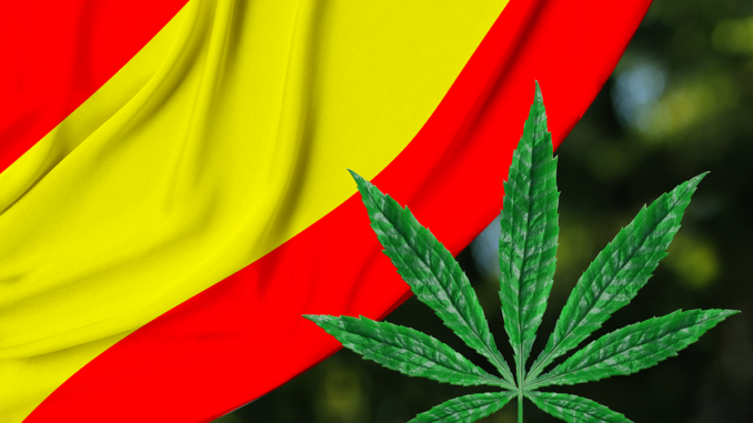 Spanish Government Gives Green Light to Medical Cannabis