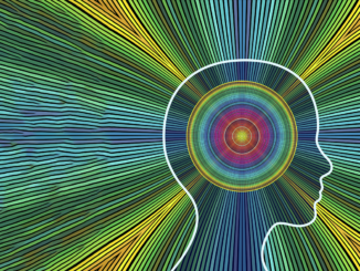 Full-Spectrum Brain Boost | Project CBD
