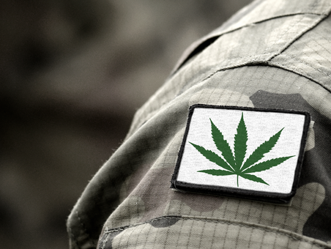 Three New Studies on Cannabis and PTSD